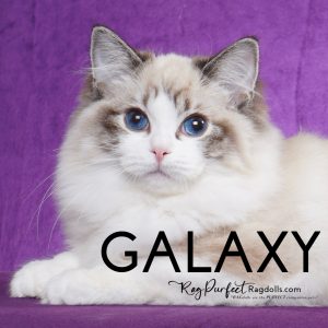 WTR Galaxy